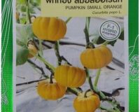 Pumpkin Small Orange Seeds