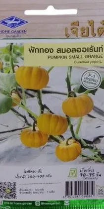 Chia Tai Home Garden Pumpkin Small Orange Seeds