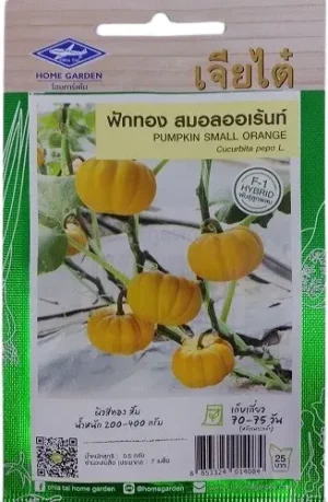 Chia Tai Home Garden Pumpkin Small Orange Seeds