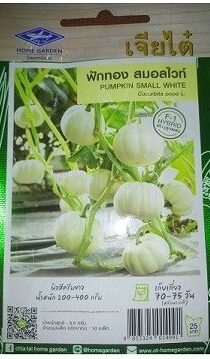 Pumpkin Small White Seeds