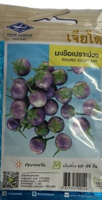 Chia Tai Home Garden Purple Round Eggplant Seeds