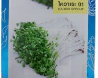Radish Sprout Seeds