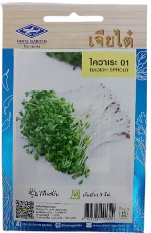 Chia Tai Home Garden Radish Sprout Seeds