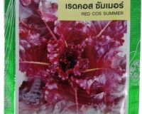 Red Cos Summer Lettuce Seeds
