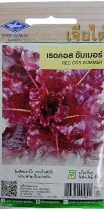 Red Cos Summer Lettuce Seeds