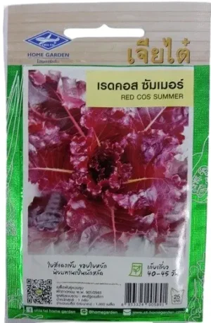 Chia Tai Home Garden Red Cos Summer Lettuce Seeds