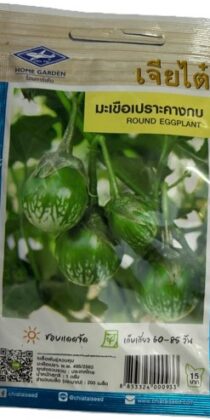 Chia Tai Home Garden Round Green Eggplant Seeds