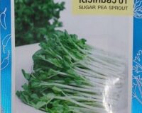 Sugar Pea Sprout Seeds