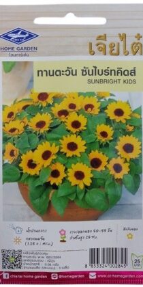 Chia Tai Home Garden Sunbright Kids Gardening Seeds — Fun & Easy Growing for Children