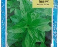 Sweet Basil Seeds