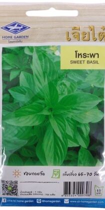 Sweet Basil Seeds