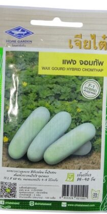 Chia Tai Home Garden Wax Gourd Hybrid Chom Thap Seeds