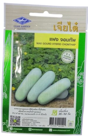 Chia Tai Home Garden Wax Gourd Hybrid Chom Thap Seeds