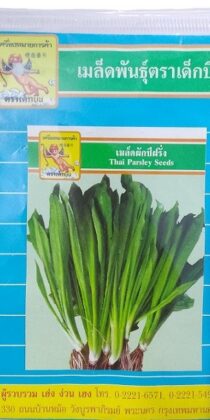 Dek Bin Thai Parsley Seeds