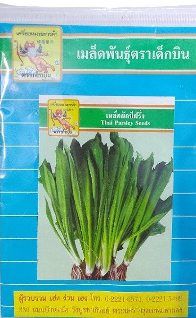 Dek Bin Thai Parsley Seeds