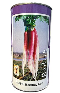 Durga Bombay Hybrid Half Red Radish Seeds — High‑Yield Early Maturing Variety (500g)