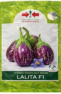 East West Lalita F1 Hybrid Brinjal Seeds — High Yield Purple Streaked Variety (50g)