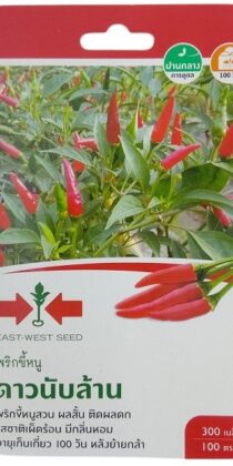 East West Seed Birds Eye Chilli Millions of Stars Seeds