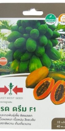 East West Seed Hybrid Papaya Red Dream F1 Seeds