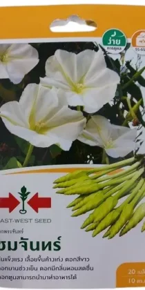 East West Seed Ipomoea Alba White Moonflower Vine Seeds
