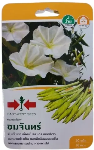 East West Seed Ipomoea Alba White Moonflower Vine Seeds