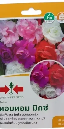 East West Seed Thai Tom Tom Dopati Balsam Flower Seeds