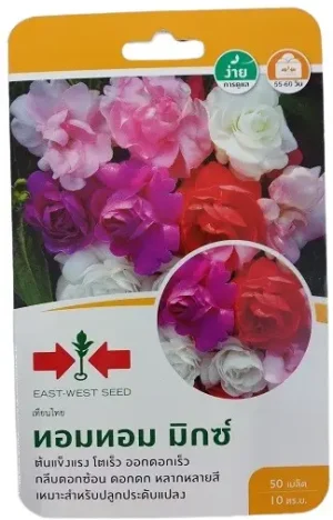 East West Seed Thai Tom Tom Dopati Balsam Flower Seeds