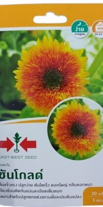 Sun Gold Sunflower Seeds