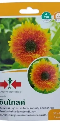 East West Seeds Sun Gold Sunflower Seeds