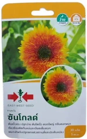 East West Seeds Sun Gold Sunflower Seeds