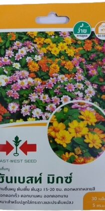 East West Sunbest Mix Gardening Seeds – Vibrant Mixed Flower Seeds for Home & Terrace Gardens