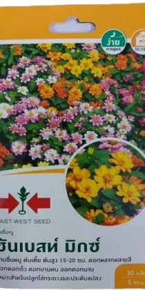 East West Seeds Zinnia Sunbrust Mixed Seeds