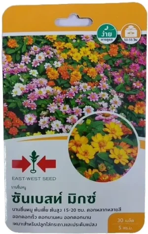 East West Seeds Zinnia Sunbrust Mixed Seeds