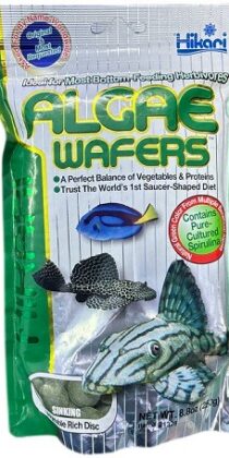 Hikari Algae Wafers — Sinking Vegetable-Rich Disc for Bottom-Feeding Herbivores (250g)
