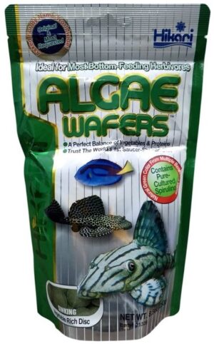 Hikari Tropical Algae Wafers