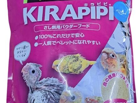 Kirapipi Baby