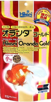 Hikari Oranda Gold