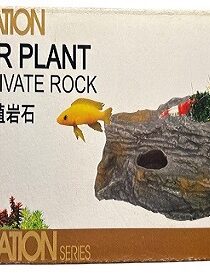 ISTA Multi Function Ceramic Stone