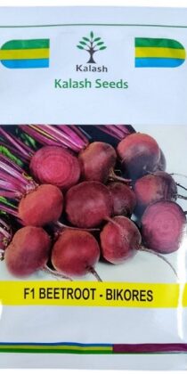 Kalash Seeds F1 Bikores Hybrid Beetroot Seeds