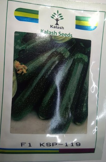 Kalash Seeds