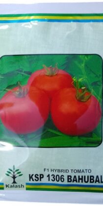 Kalash Seeds F1 KSP 1306 Bahubali Hybrid Tomato Seeds