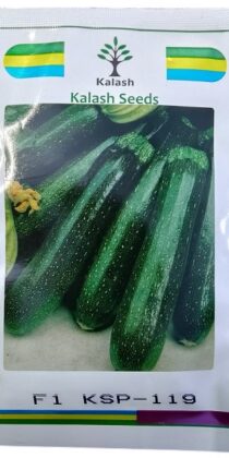 Kalash Seeds F1 Ksp 119 Long Dark Green Zucchini Squash