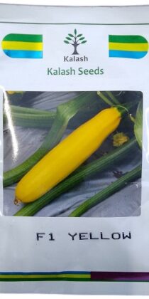 Kalash Seeds F1 Ksp 16 Yellow Zucchini Squash