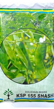 Kalash Seeds Ksp 155 Shashi Dolichus Seem Beans Seeds