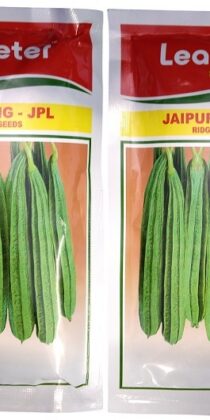 Leadbeter Jaipur Long