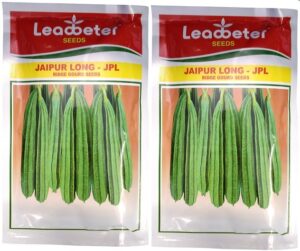 Leadbeter Jaipur Long
