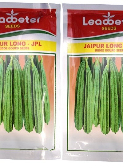 Leadbeter Jaipur Long