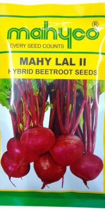 Mahyco Mahy Lal II Hybrid Beetroot Seeds