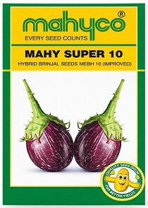 Mahyco Mahy Super 10 Hybrid Brinjal Seeds — High Yield Improved Variety (50gm)