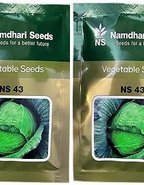 Namdhari NS 43 F1 Hybrid Cabbage Seeds — High-Yield Cabbage Seeds (14g)